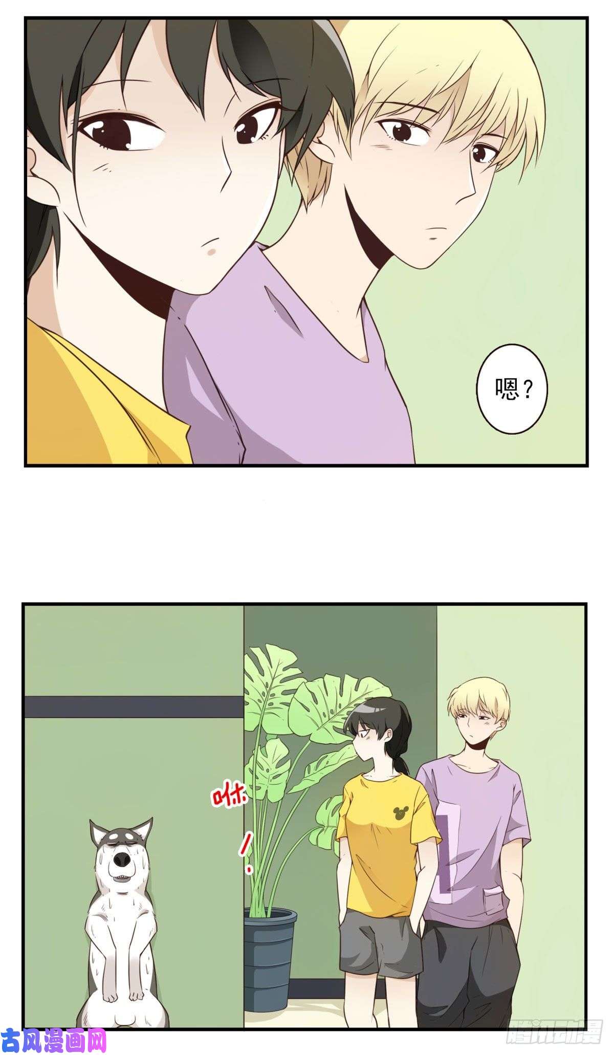 位列仙班006-好丑的狗