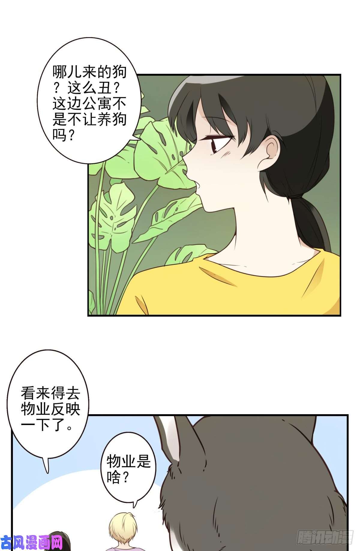 位列仙班006-好丑的狗