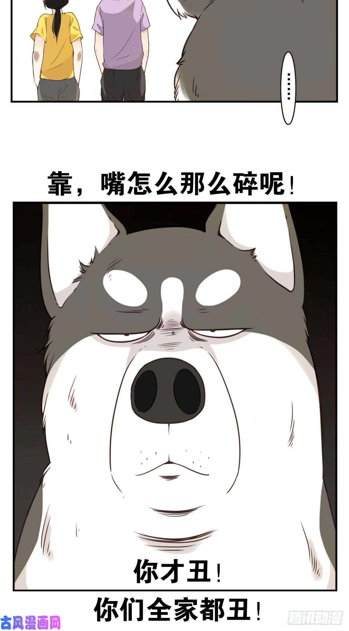 位列仙班006-好丑的狗