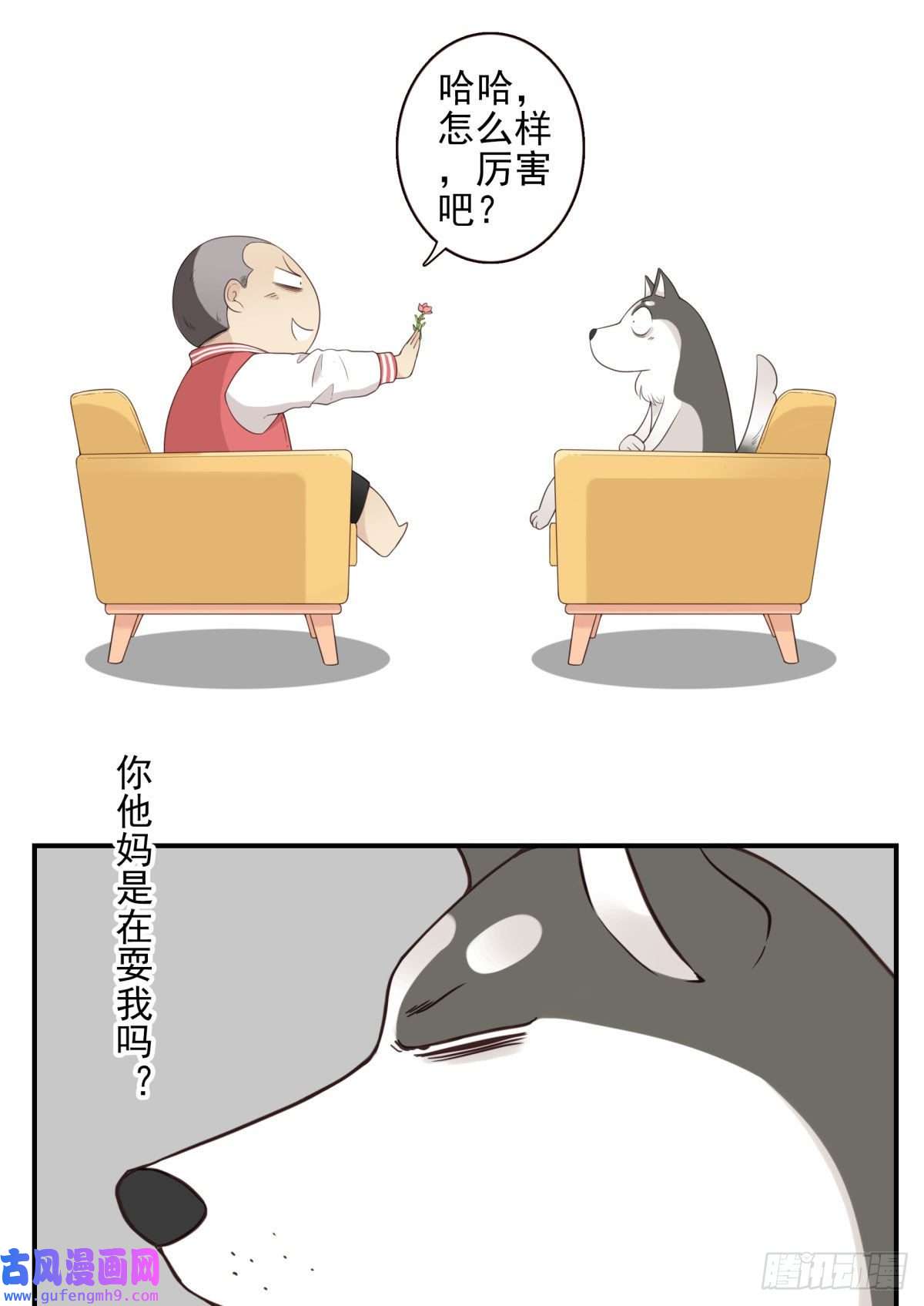 位列仙班041-能力特殊
