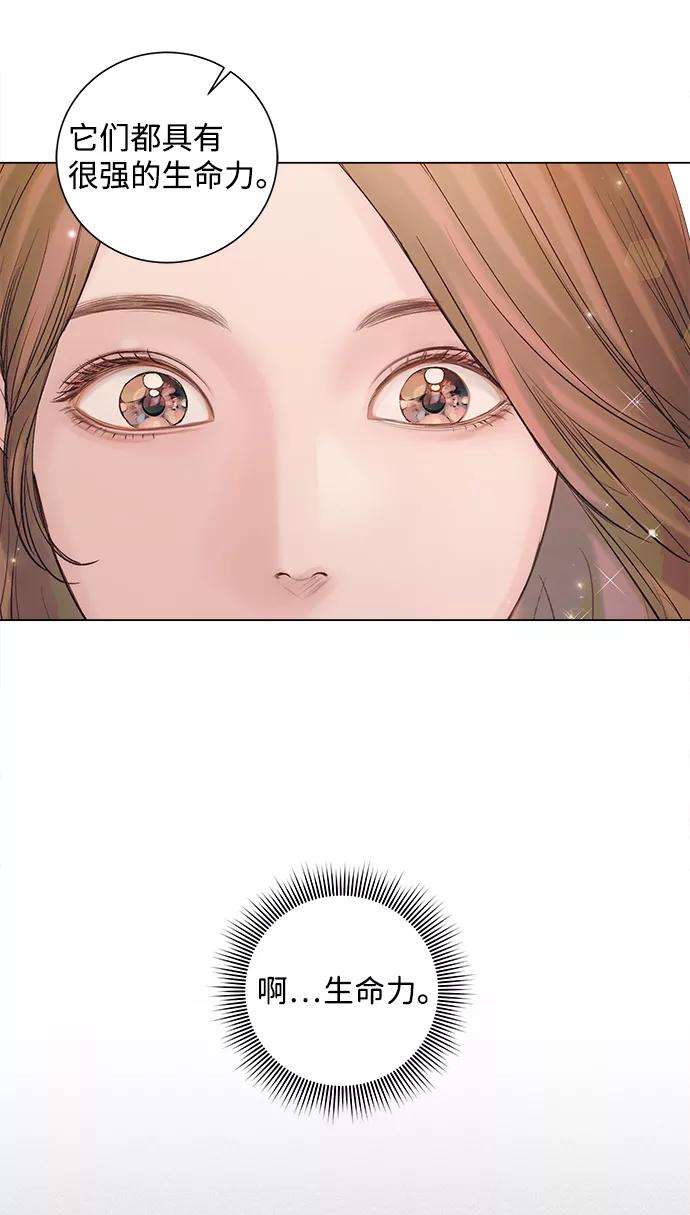 一定要Happy Ending50话