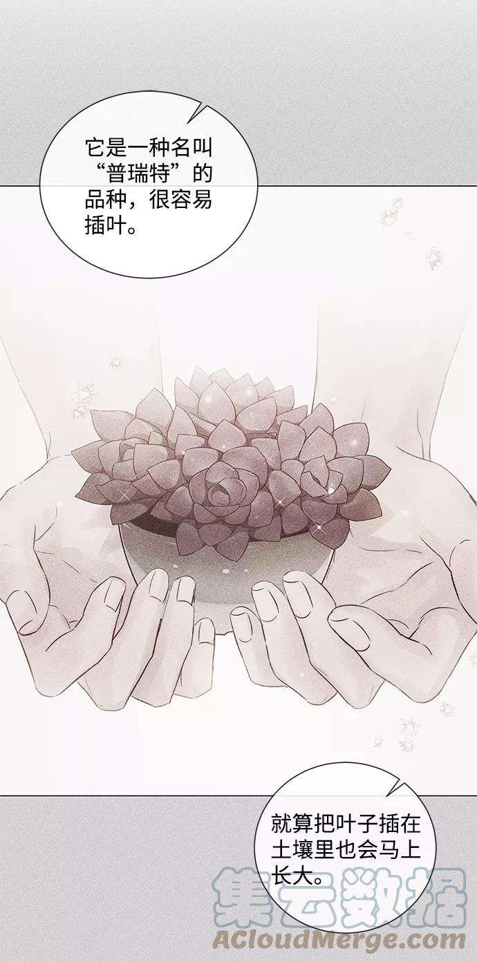 一定要Happy Ending50话