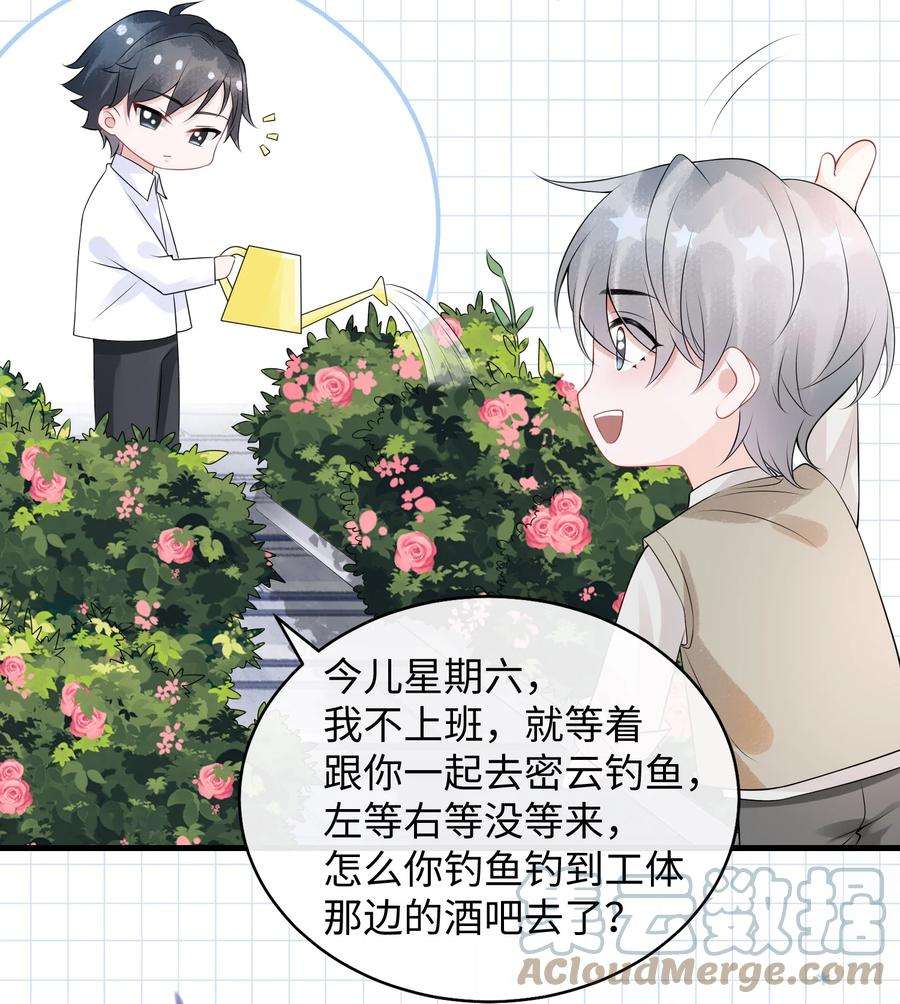 彼得·潘与辛德瑞拉小剧场 淤青的由来