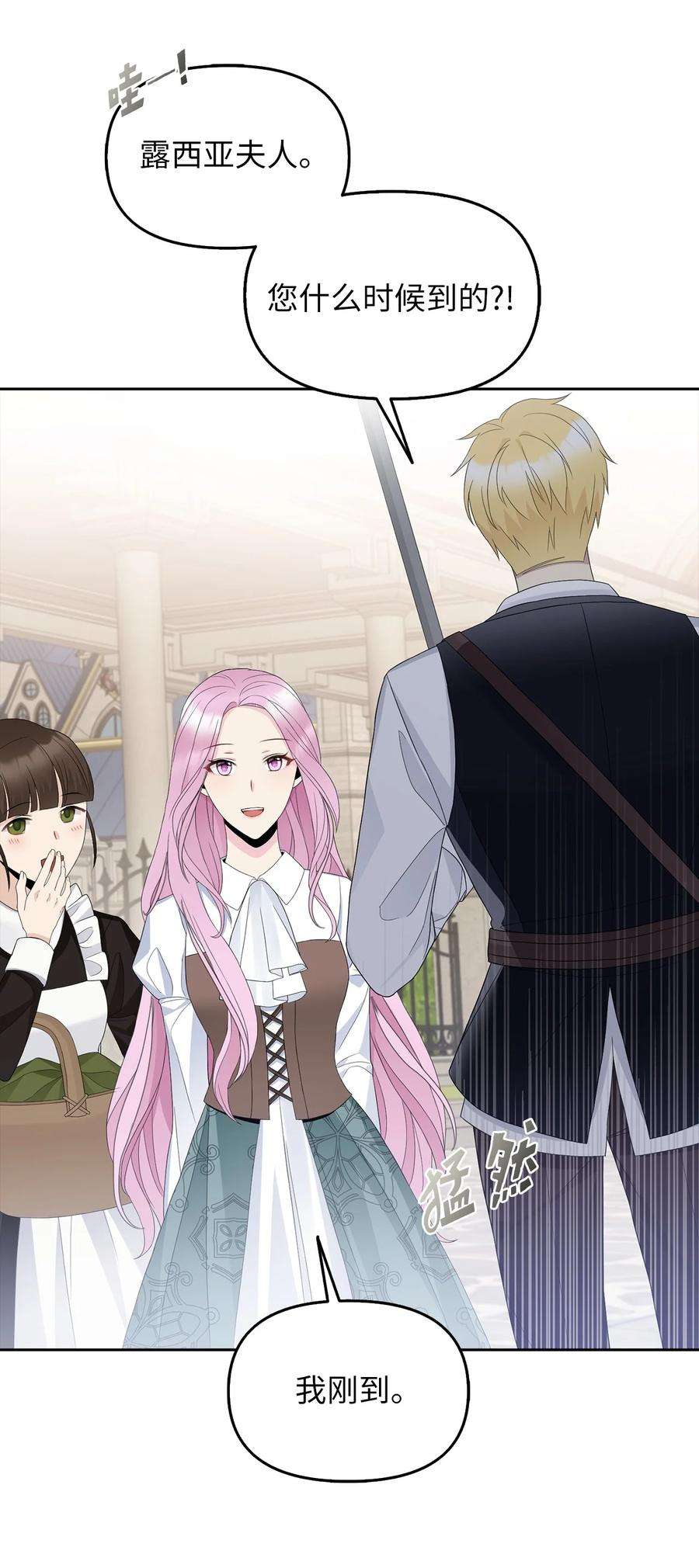 皇帝的假面23 勒芬登布特里