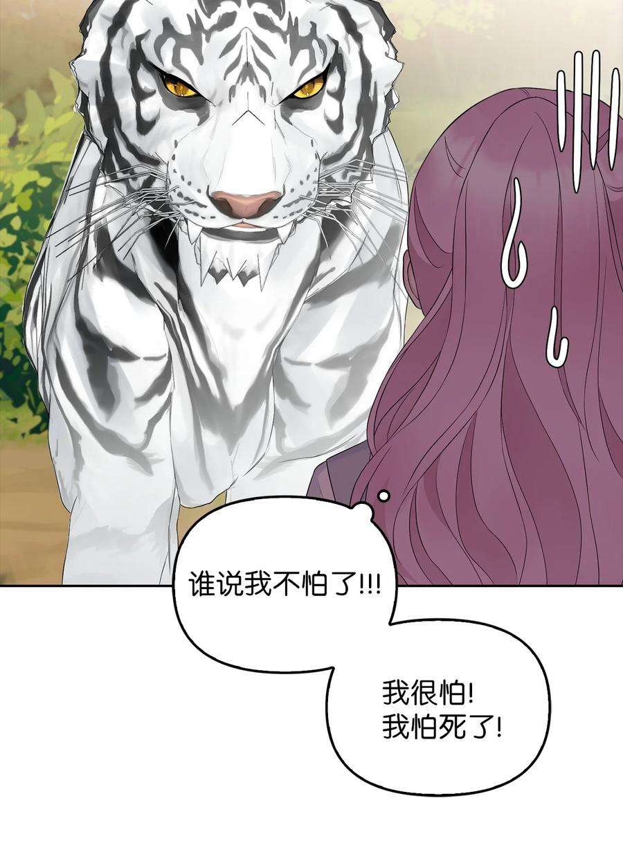 皇帝的假面24 白虎