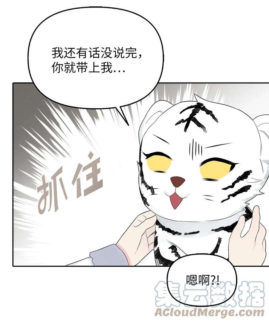 皇帝的假面24 白虎