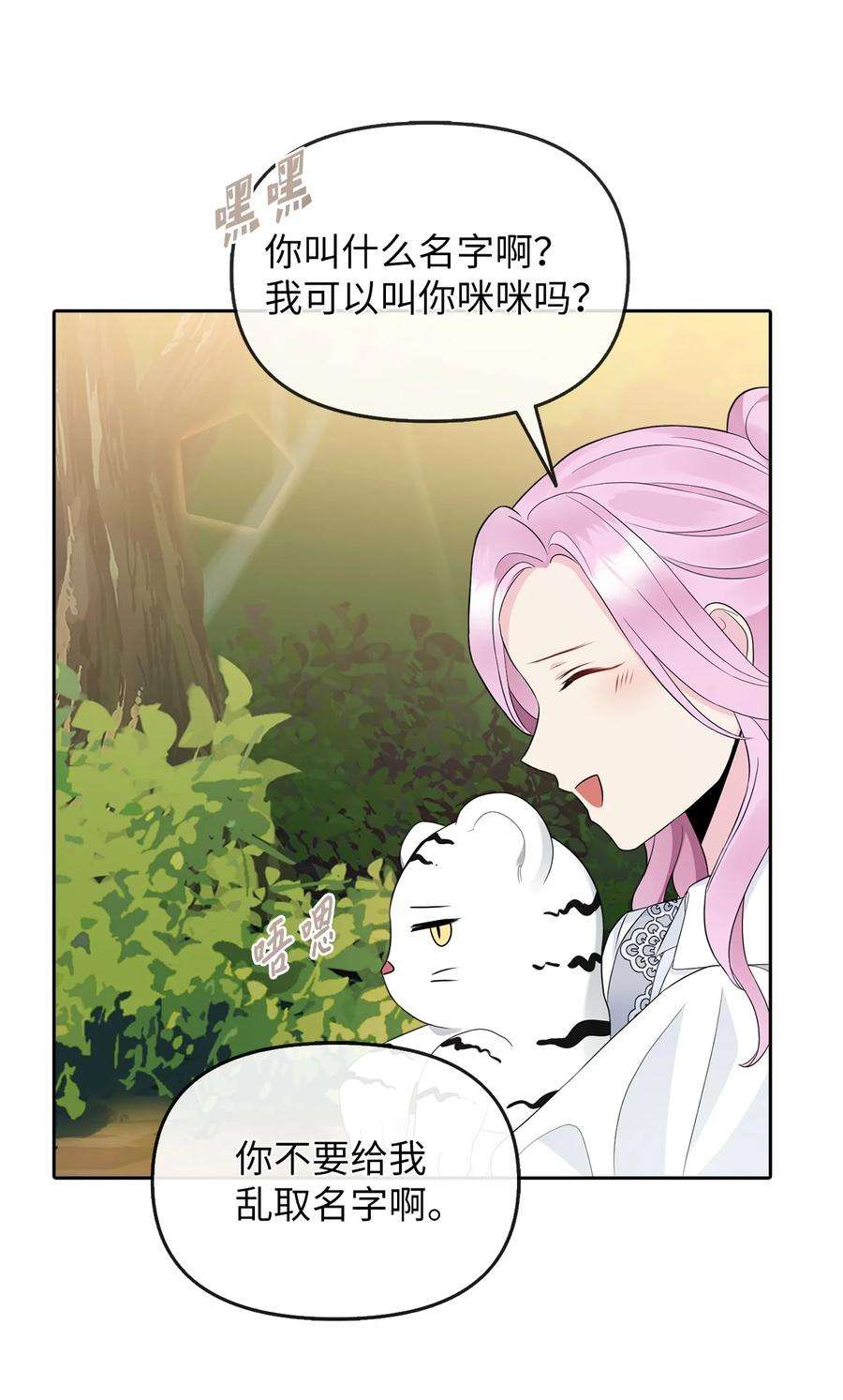 皇帝的假面24 白虎