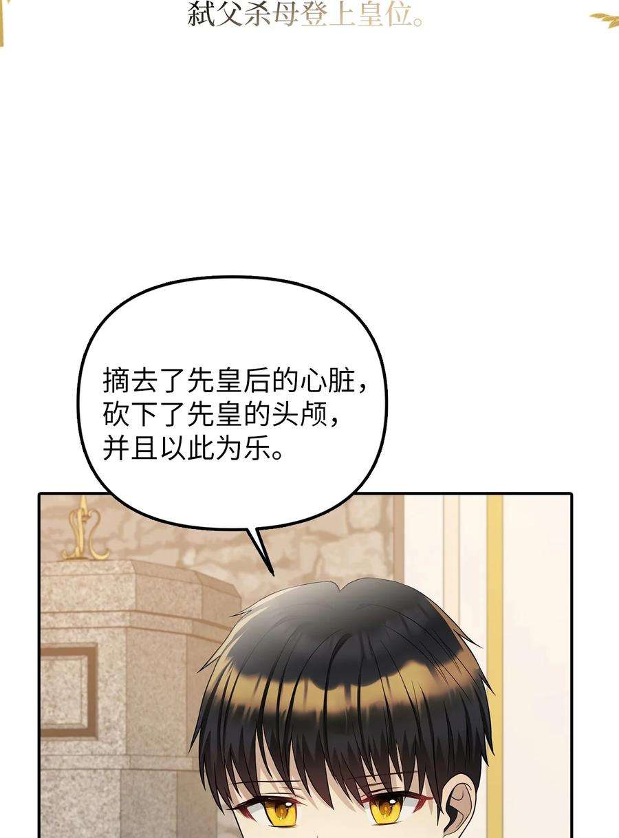 皇帝的假面26 敌国的历史