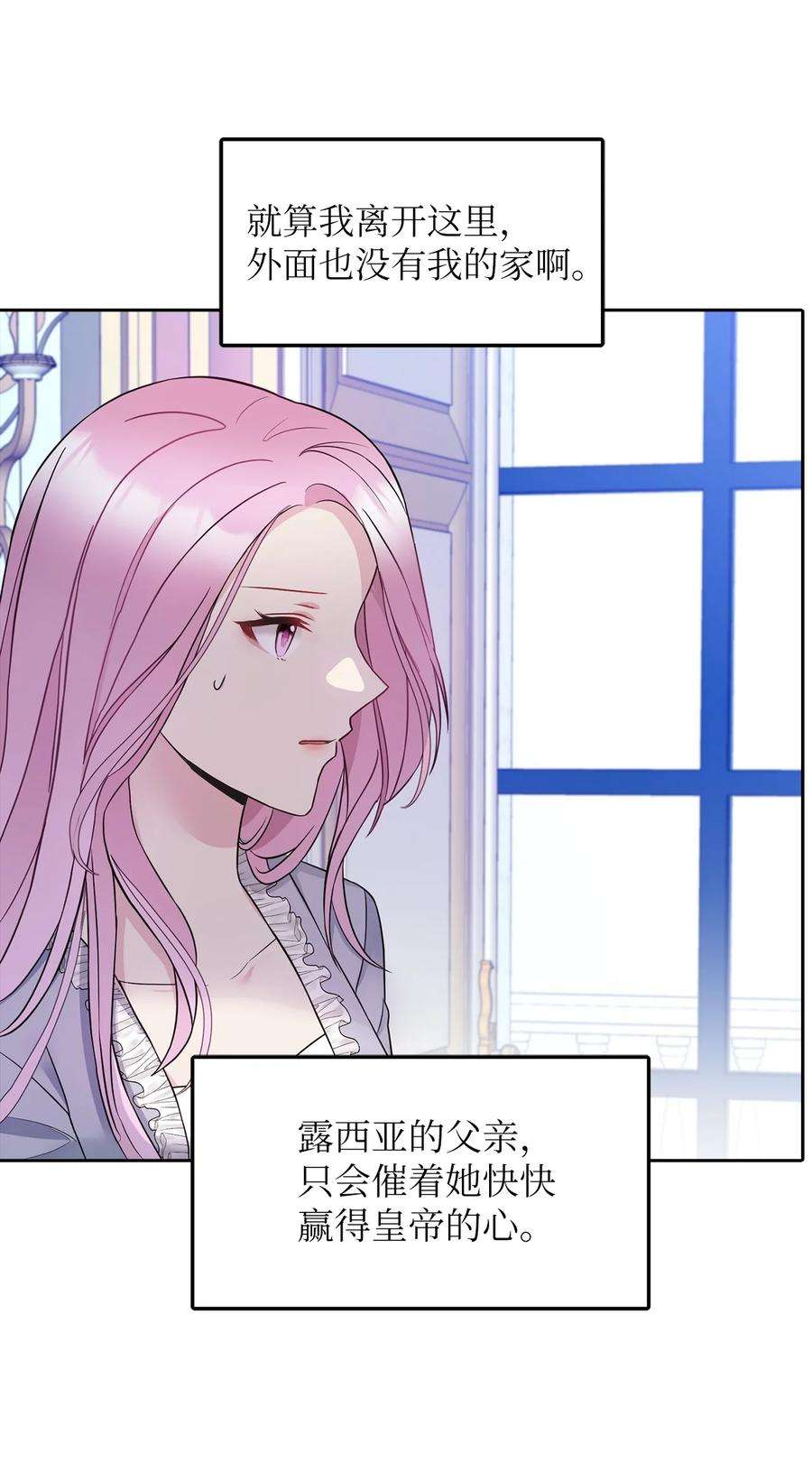 皇帝的假面26 敌国的历史