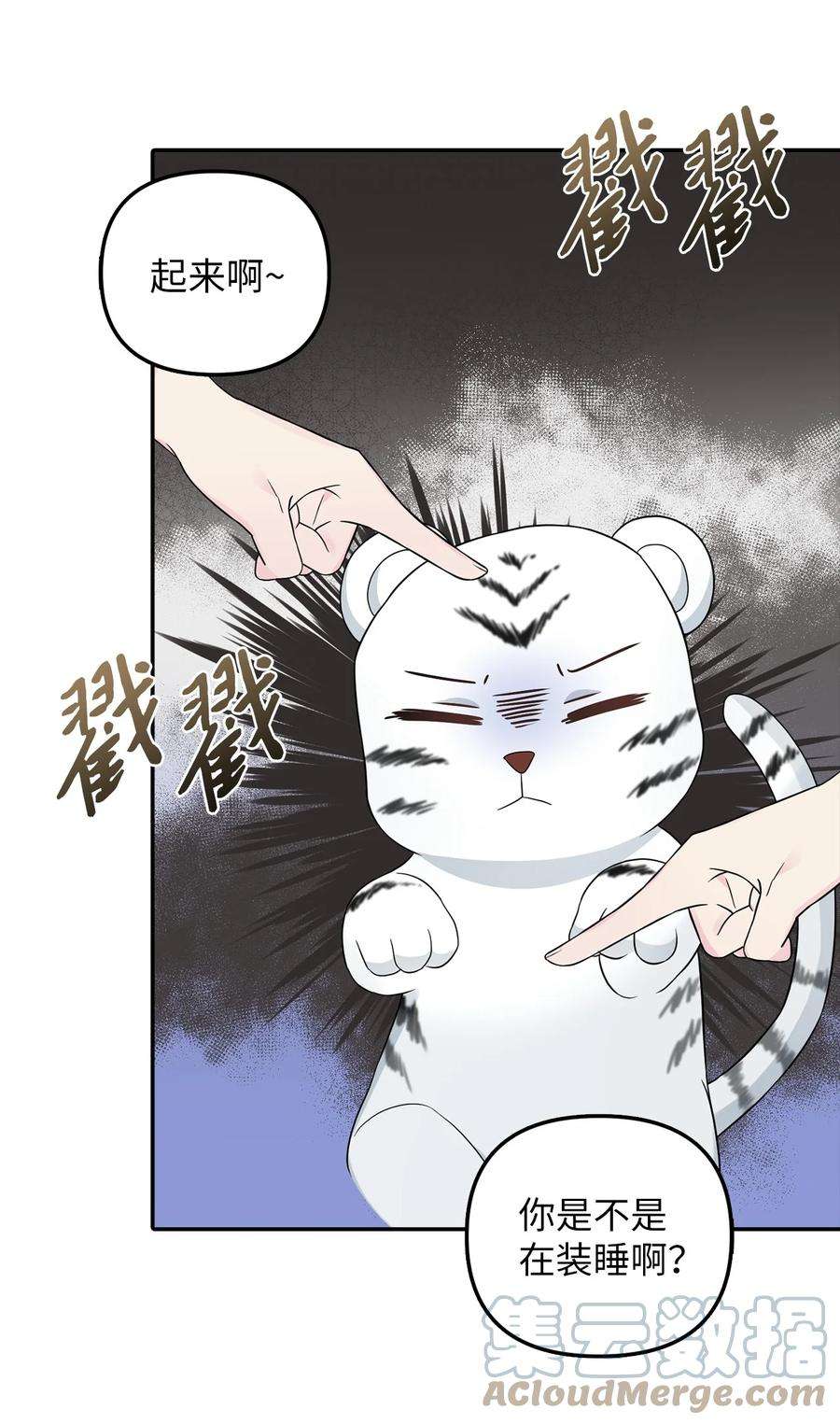 皇帝的假面28 戴弥安皇太弟