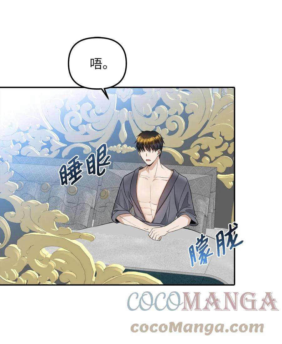 皇帝的假面36 两幅画像