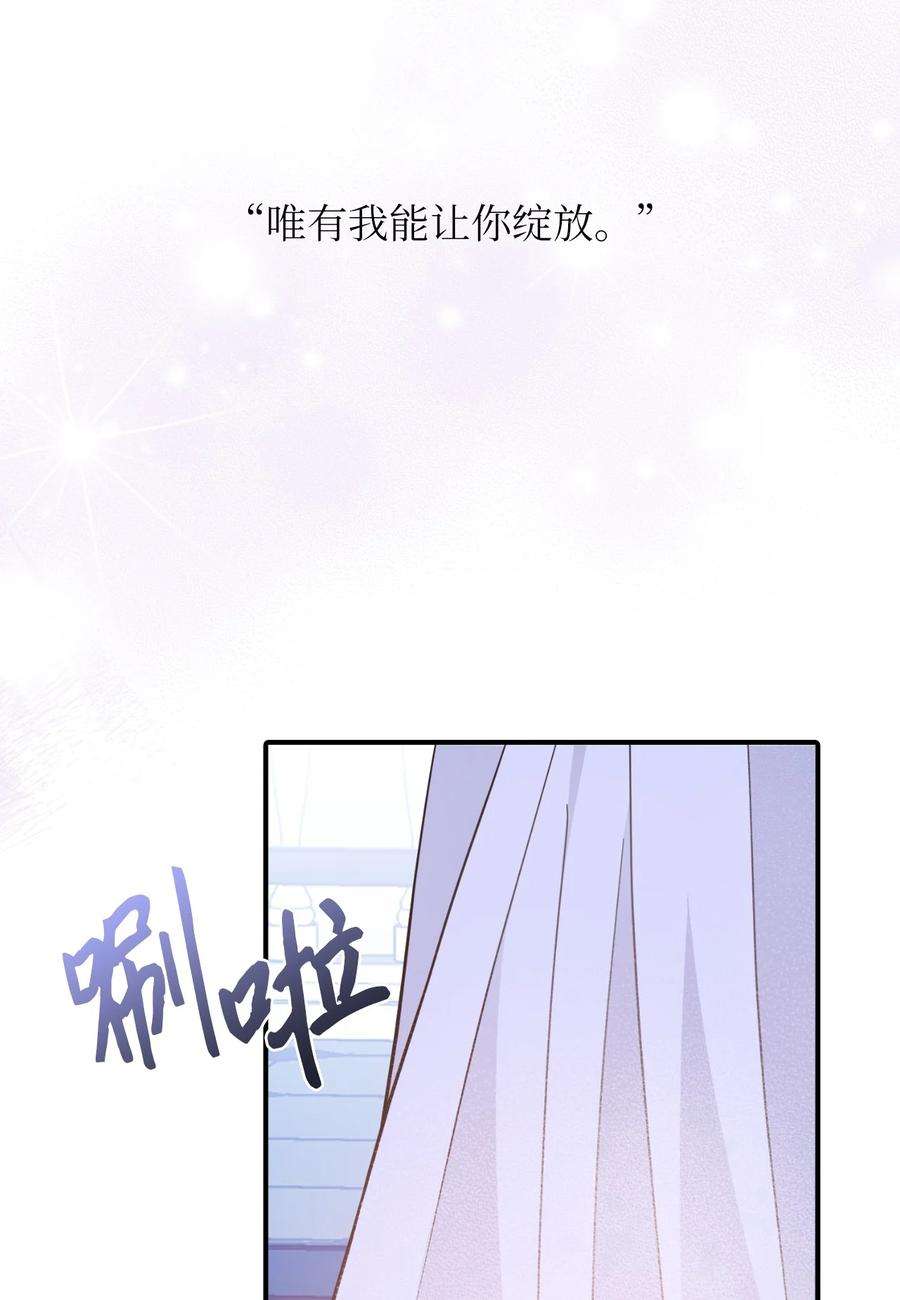 皇帝的假面37 蔷薇宫的动荡