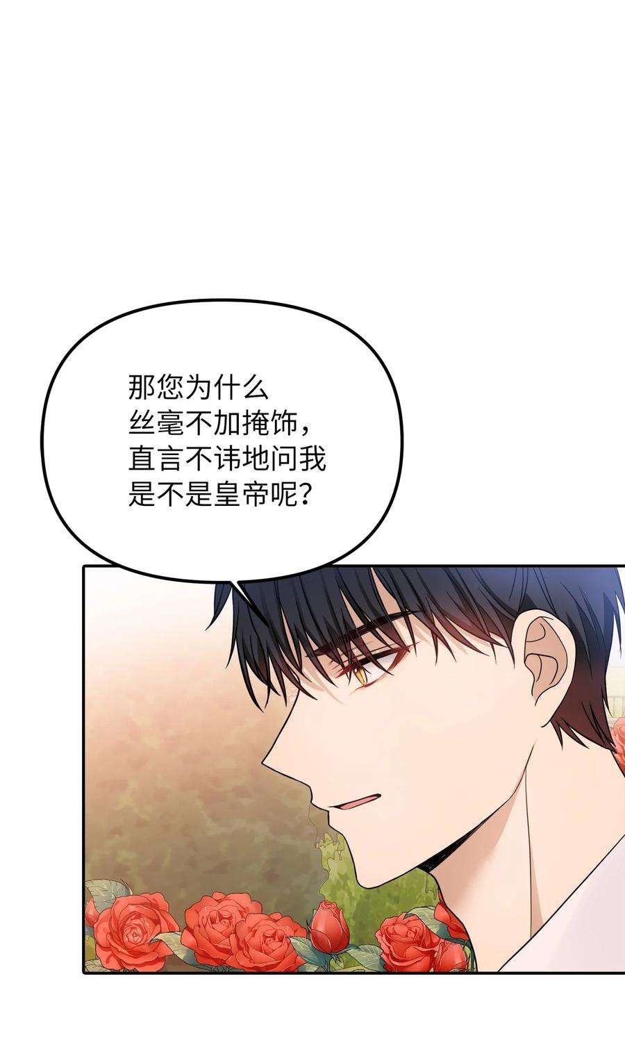 皇帝的假面39 面见皇帝