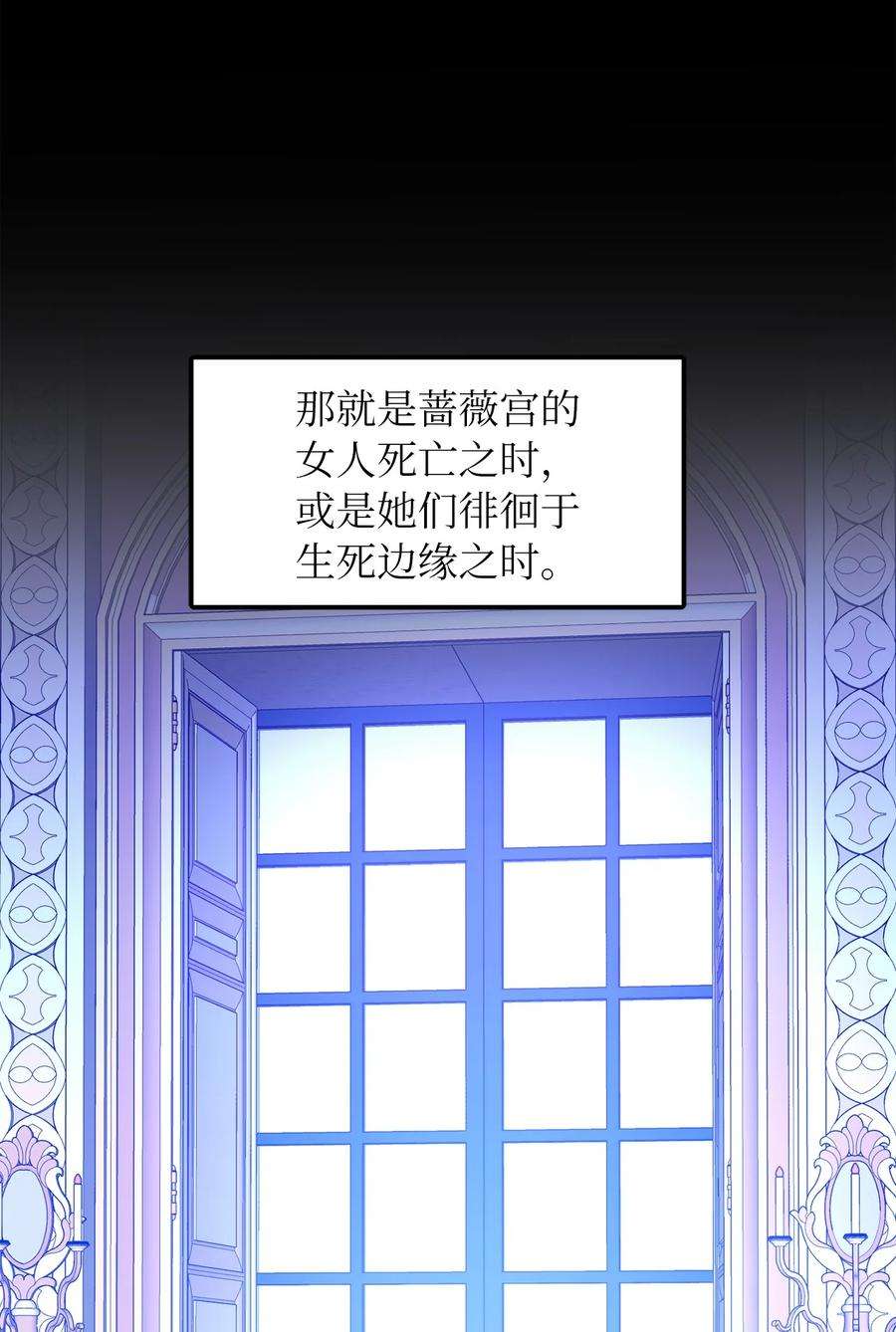 皇帝的假面39 面见皇帝