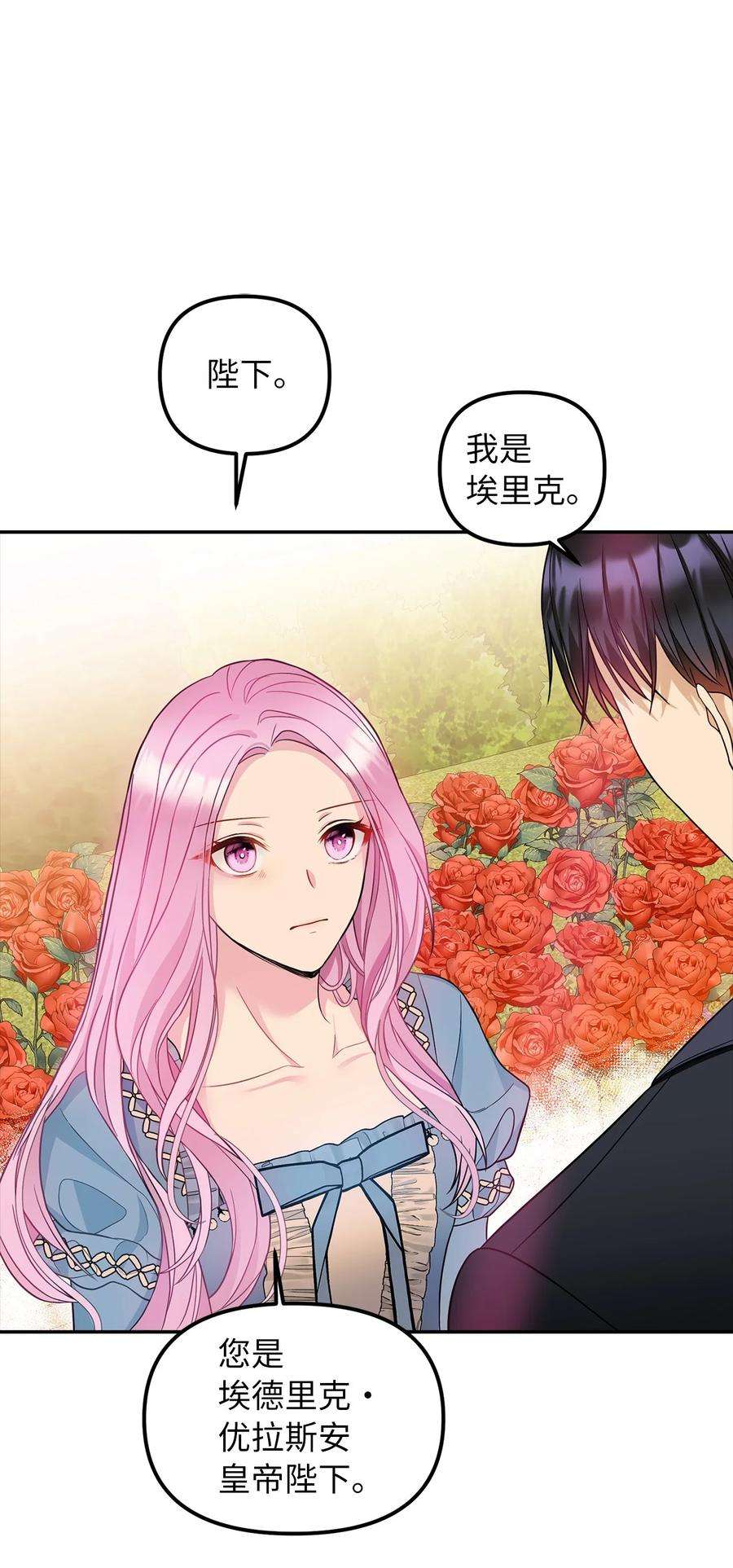 皇帝的假面40 平视的关系