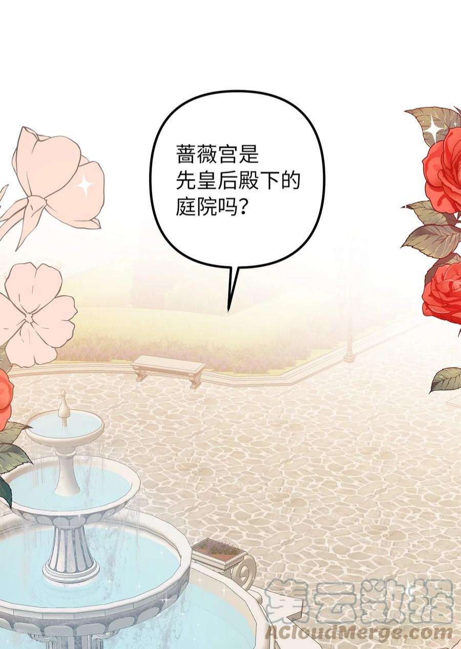 皇帝的假面52 托付蔷薇花