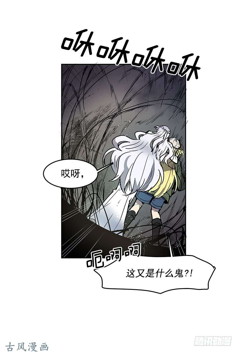 无名商店只有她可以