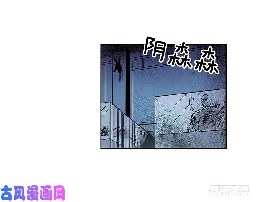 无名商店人体收藏品