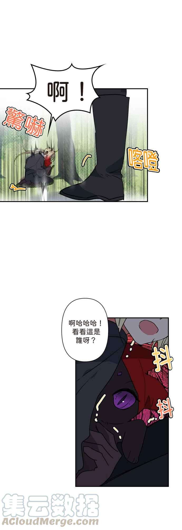 我的野蛮萌友5话