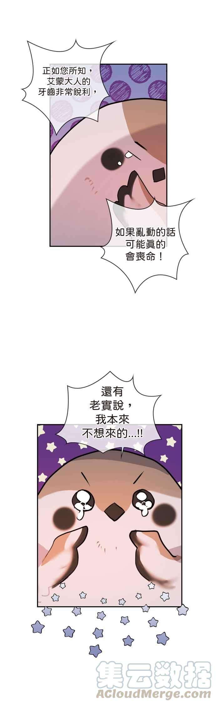 我的野蛮萌友5话