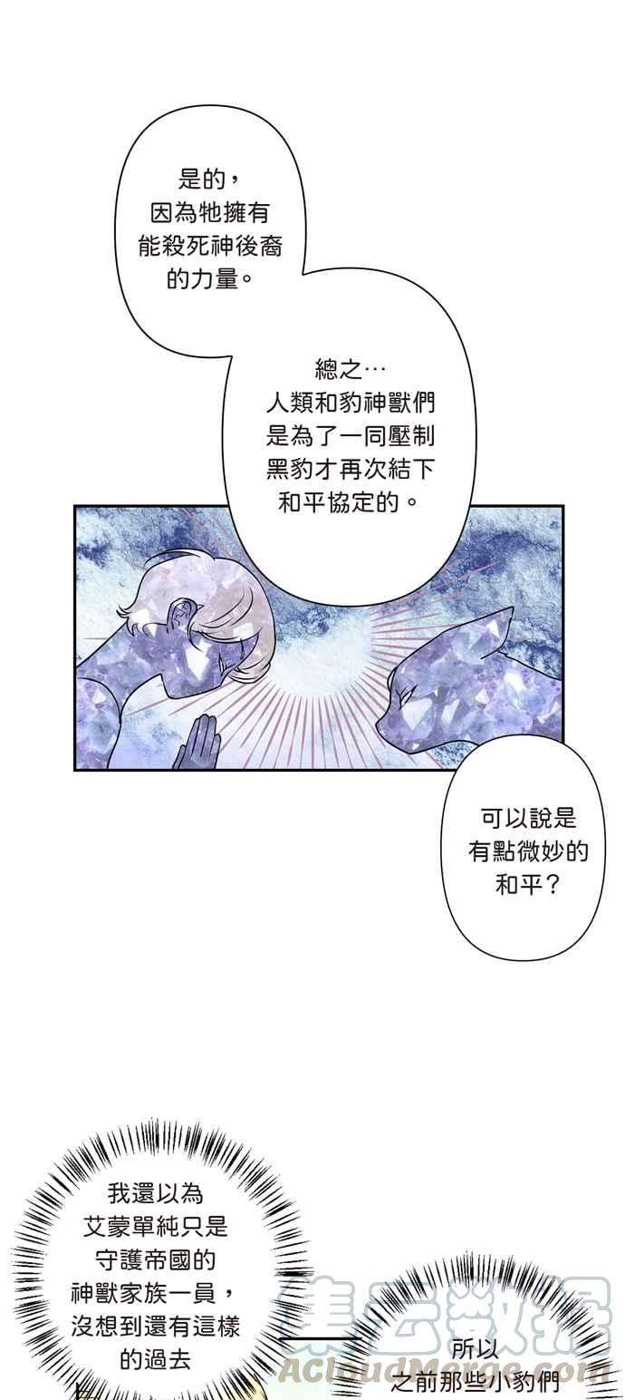 我的野蛮萌友12话