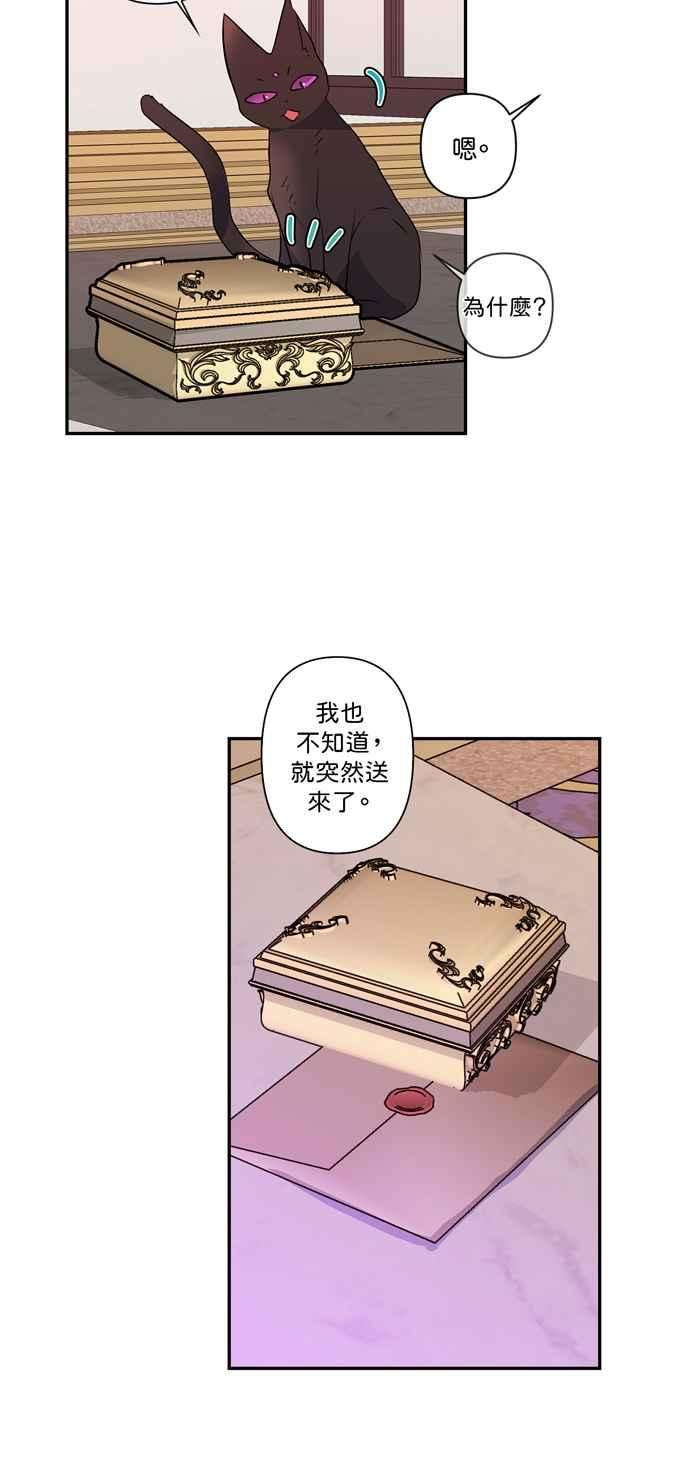 我的野蛮萌友12话