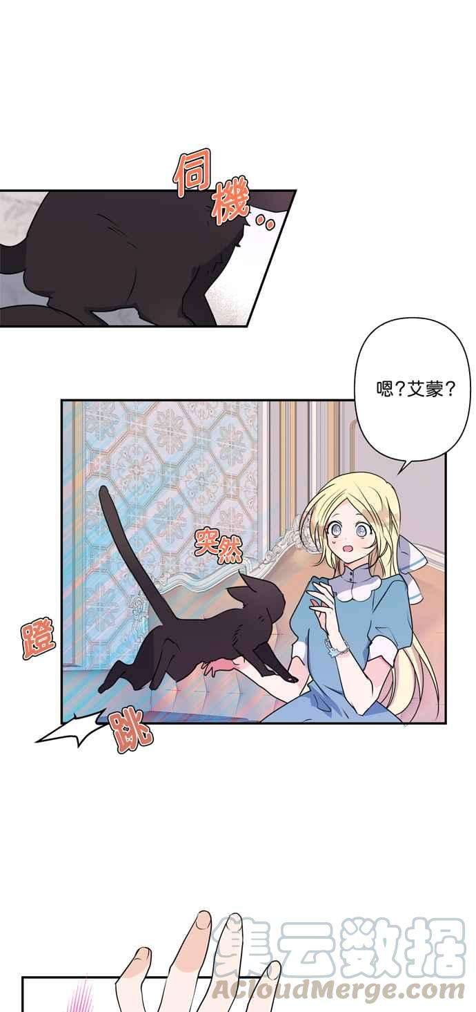 我的野蛮萌友12话