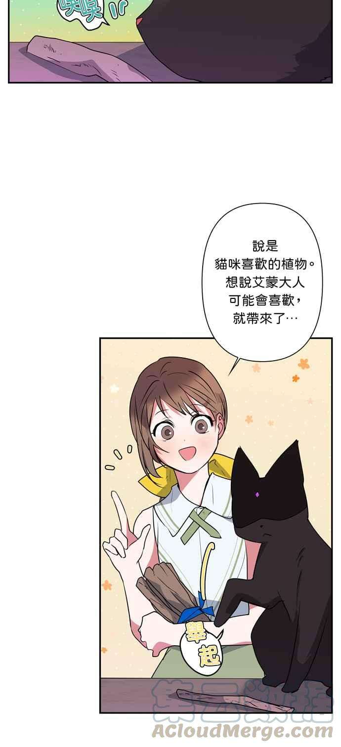 我的野蛮萌友13话