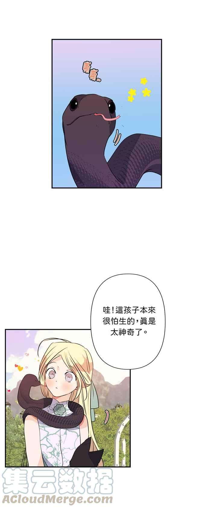 我的野蛮萌友14话