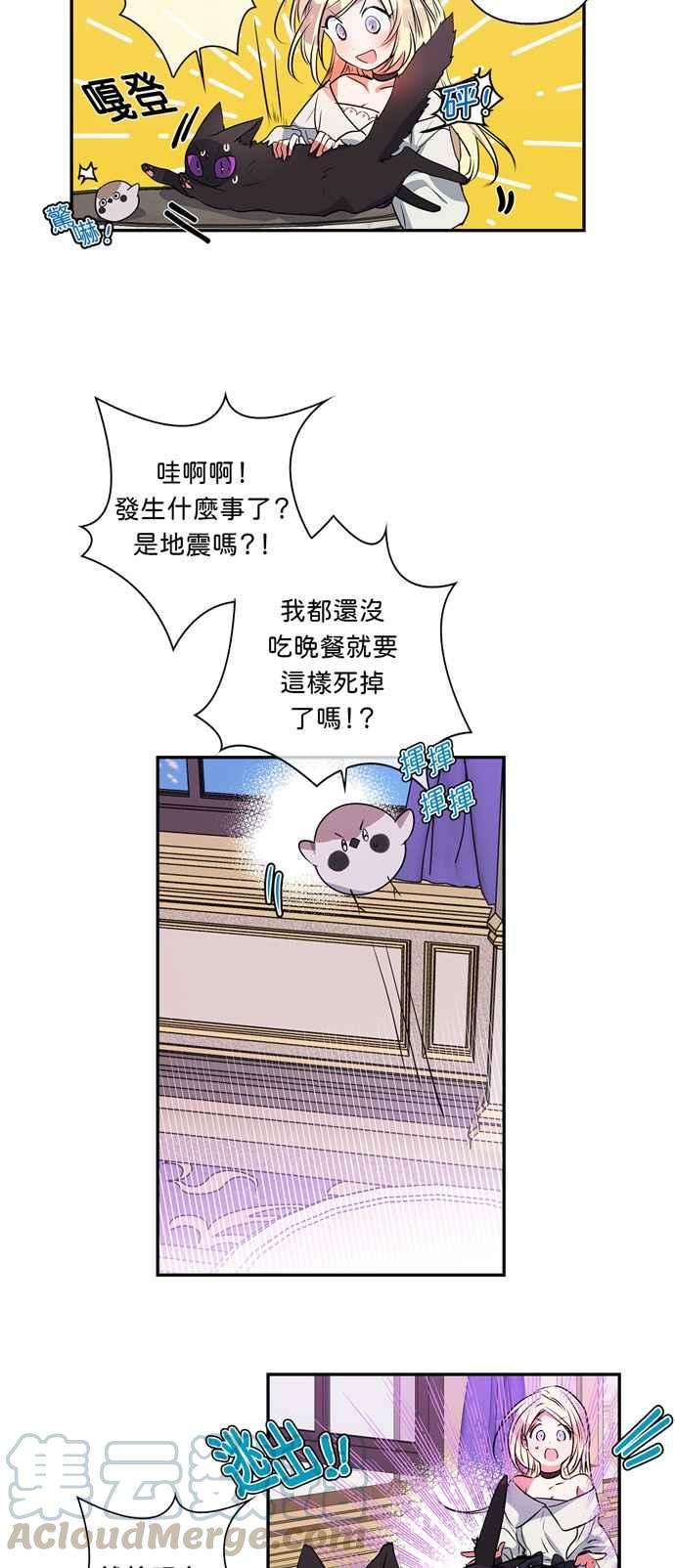 我的野蛮萌友16话