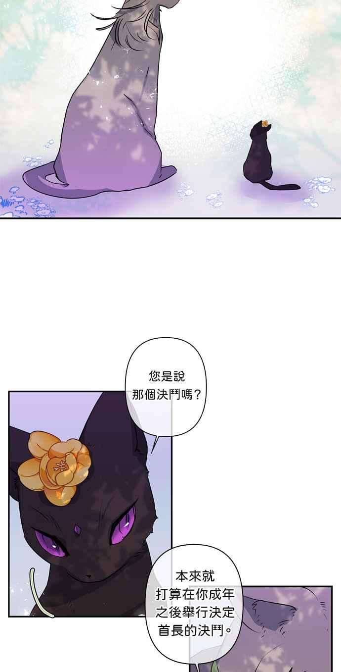 我的野蛮萌友17话