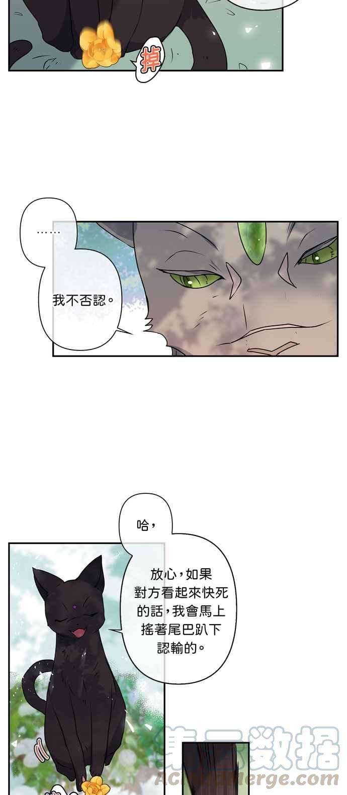 我的野蛮萌友17话