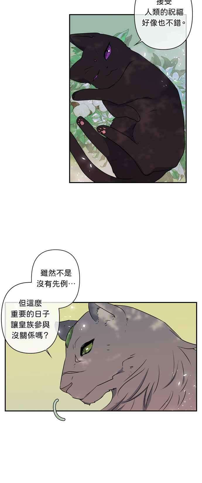 我的野蛮萌友17话