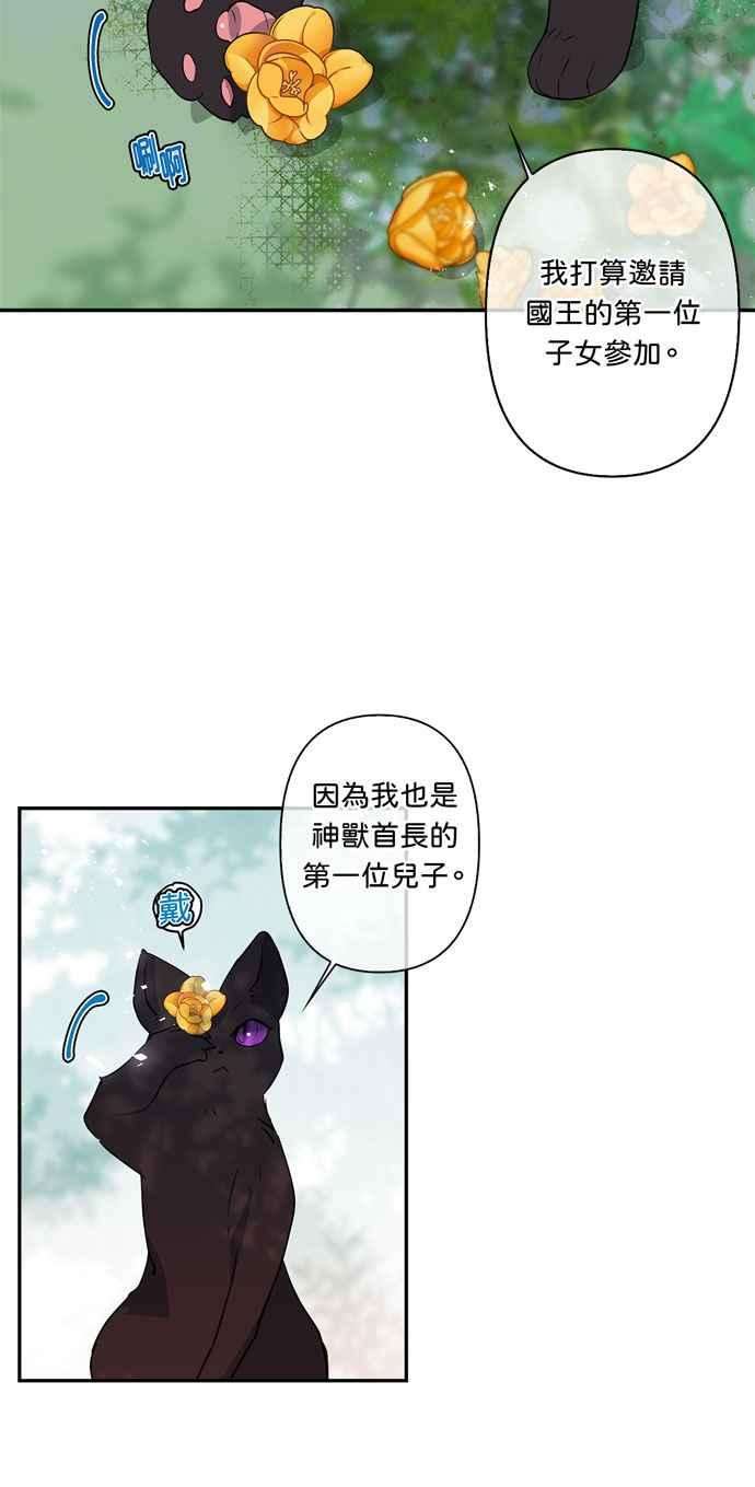 我的野蛮萌友17话