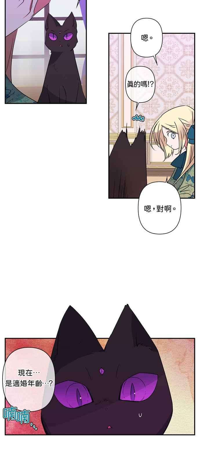 我的野蛮萌友18话