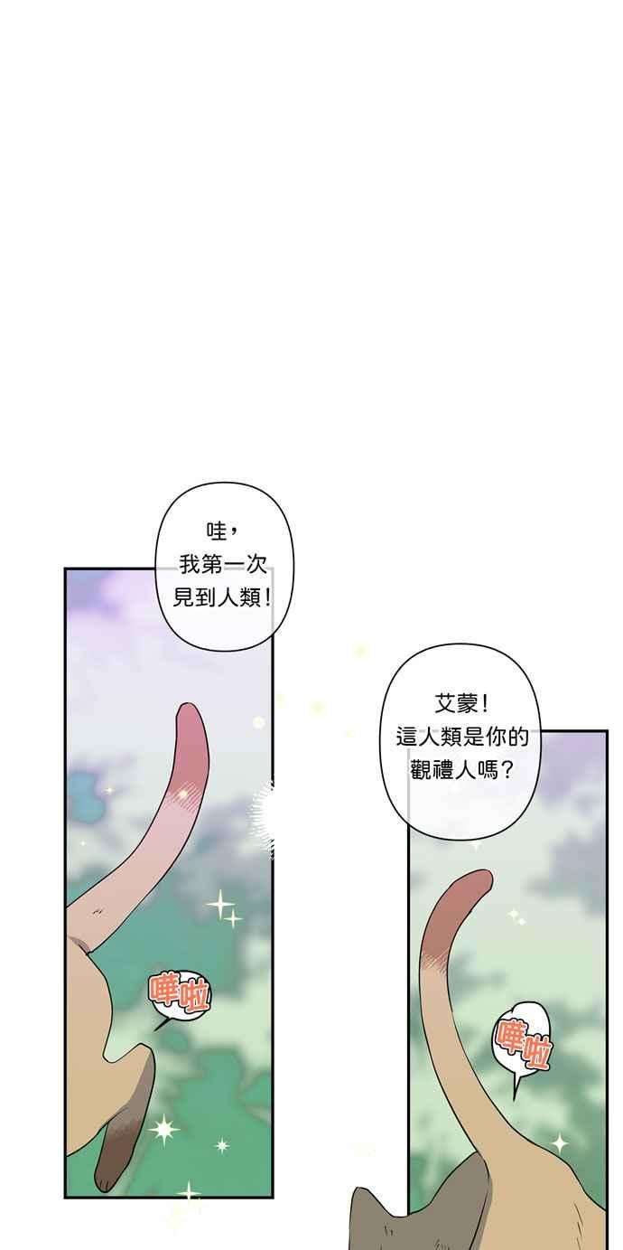 我的野蛮萌友18话