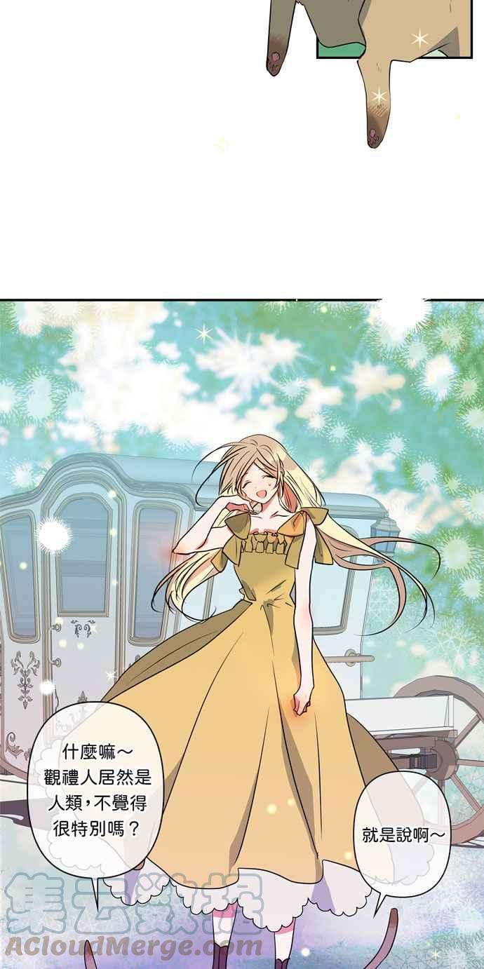 我的野蛮萌友18话