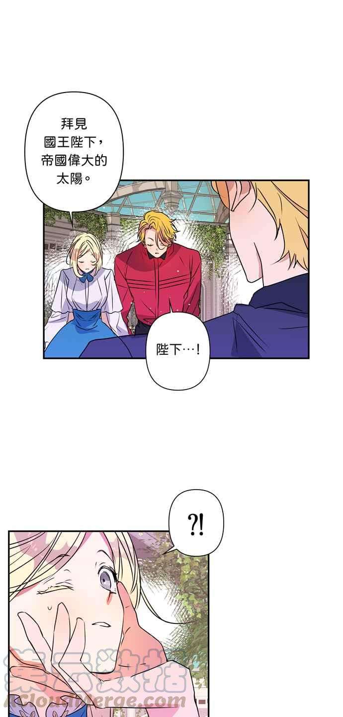 我的野蛮萌友23话