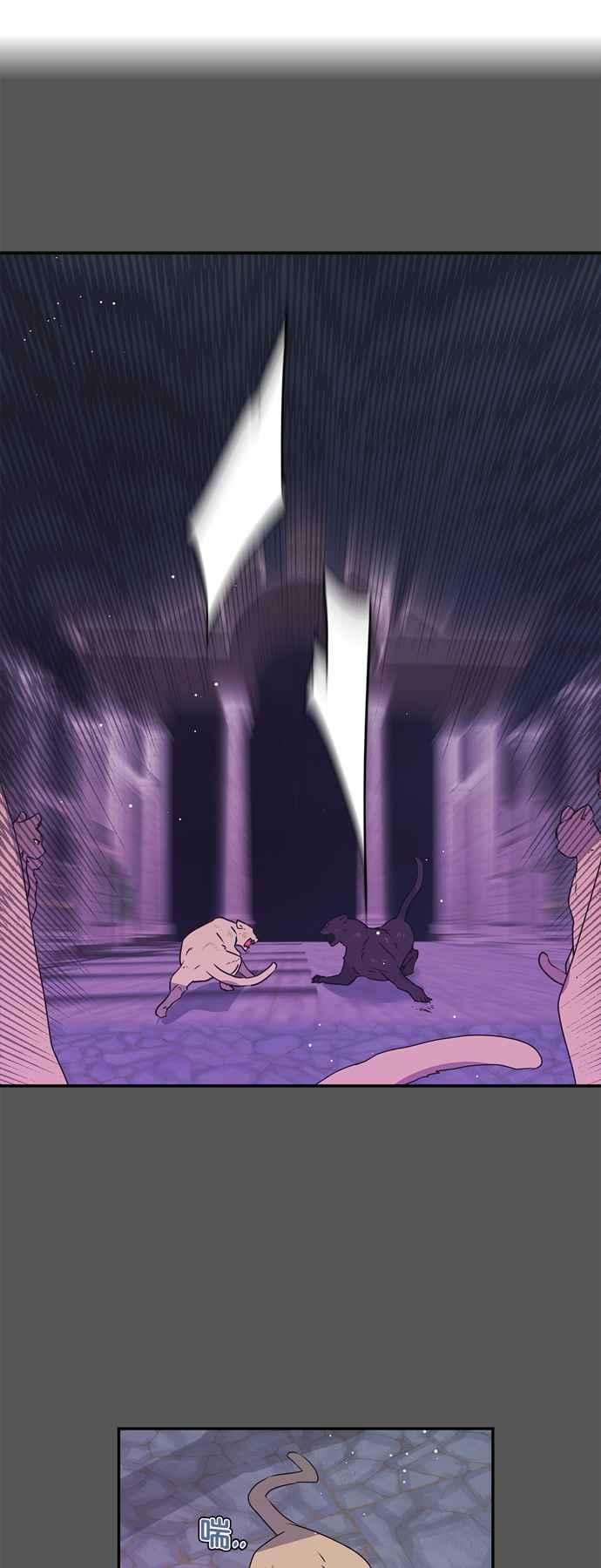 我的野蛮萌友25话