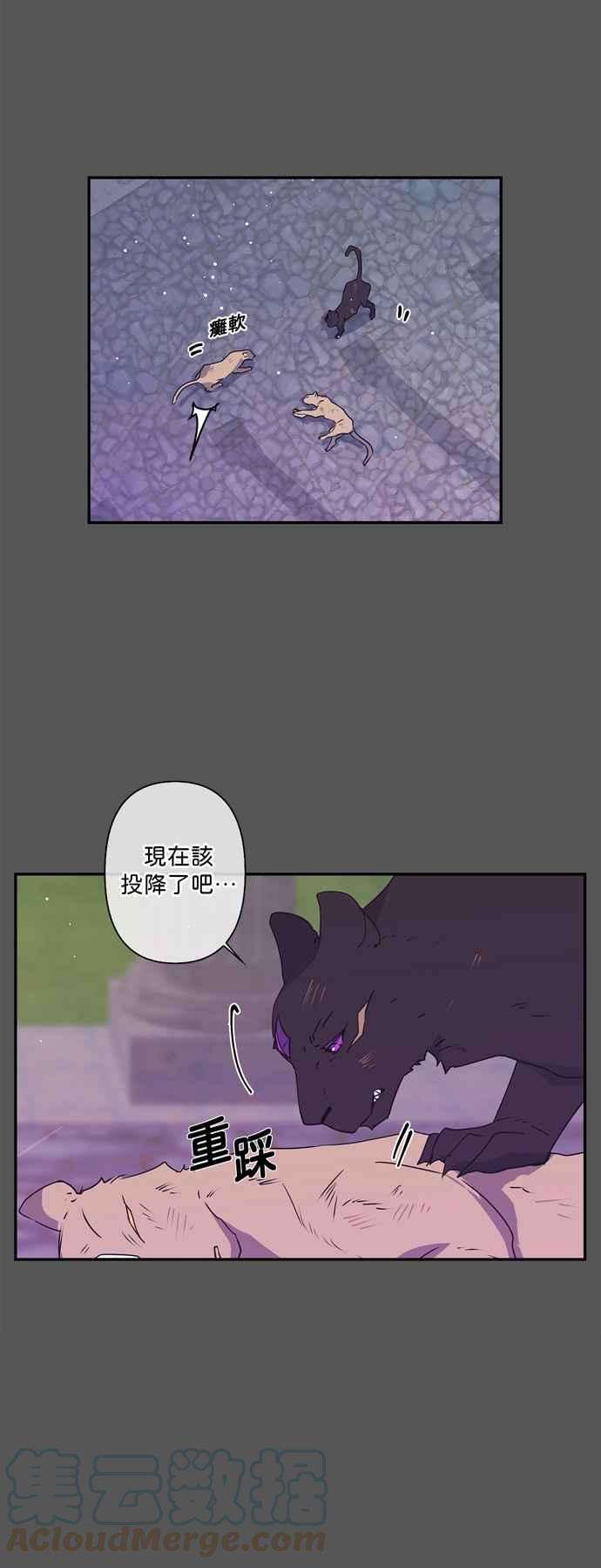 我的野蛮萌友25话