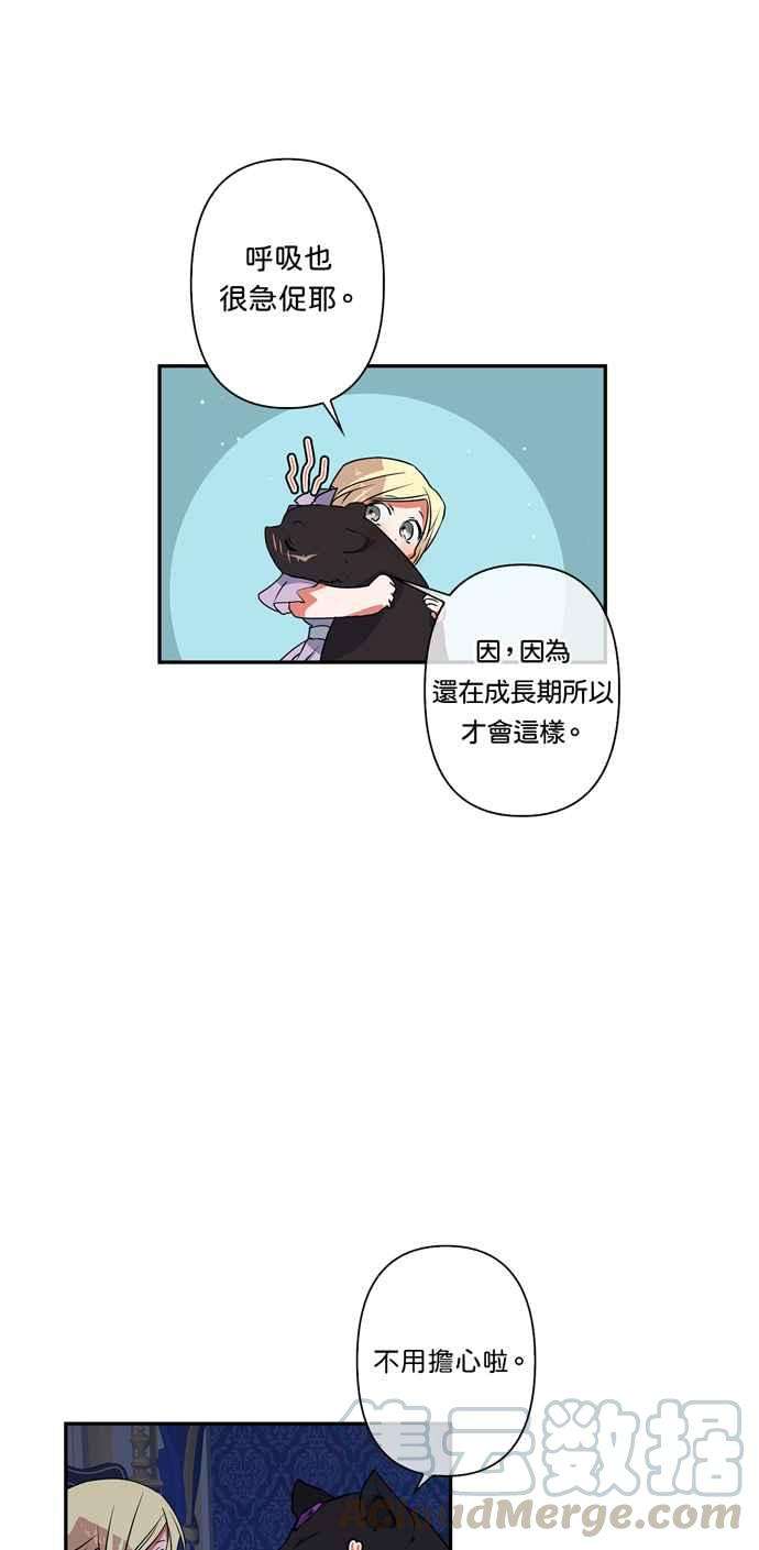 我的野蛮萌友27话