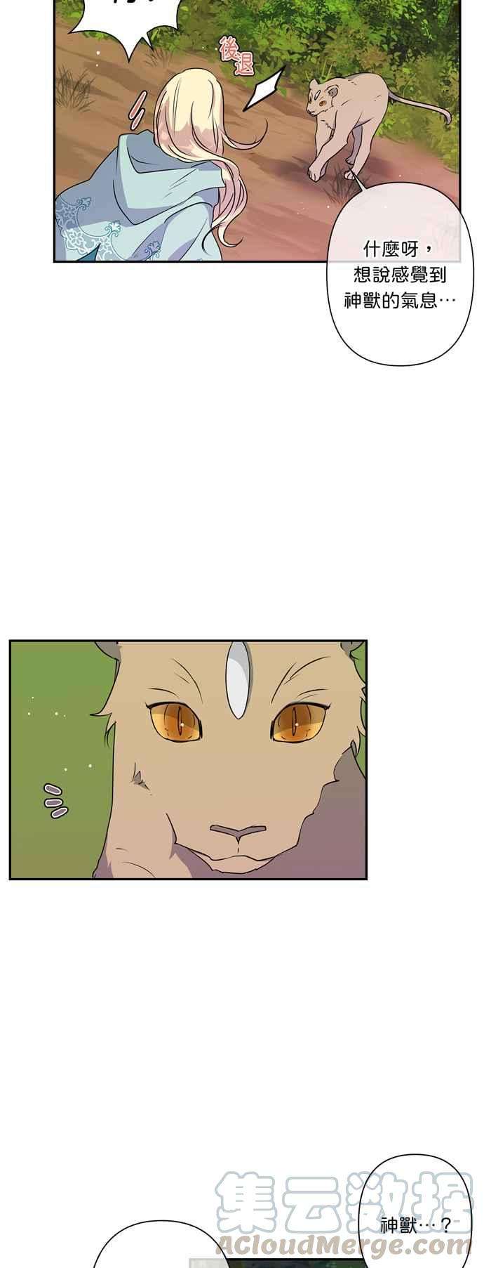 我的野蛮萌友33话
