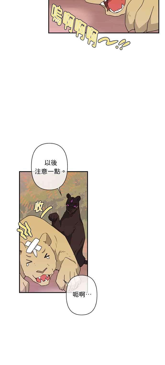 我的野蛮萌友34话