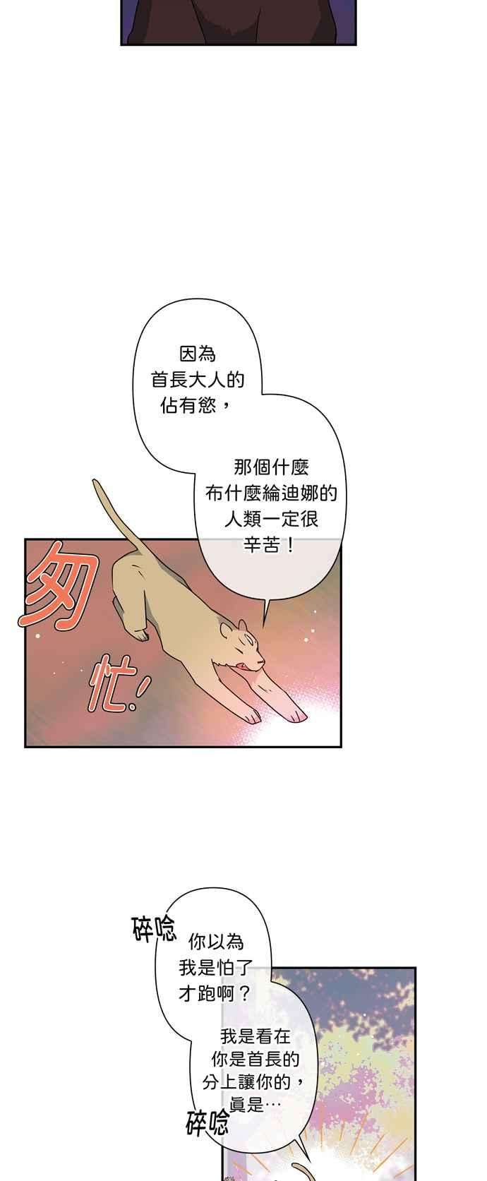 我的野蛮萌友34话
