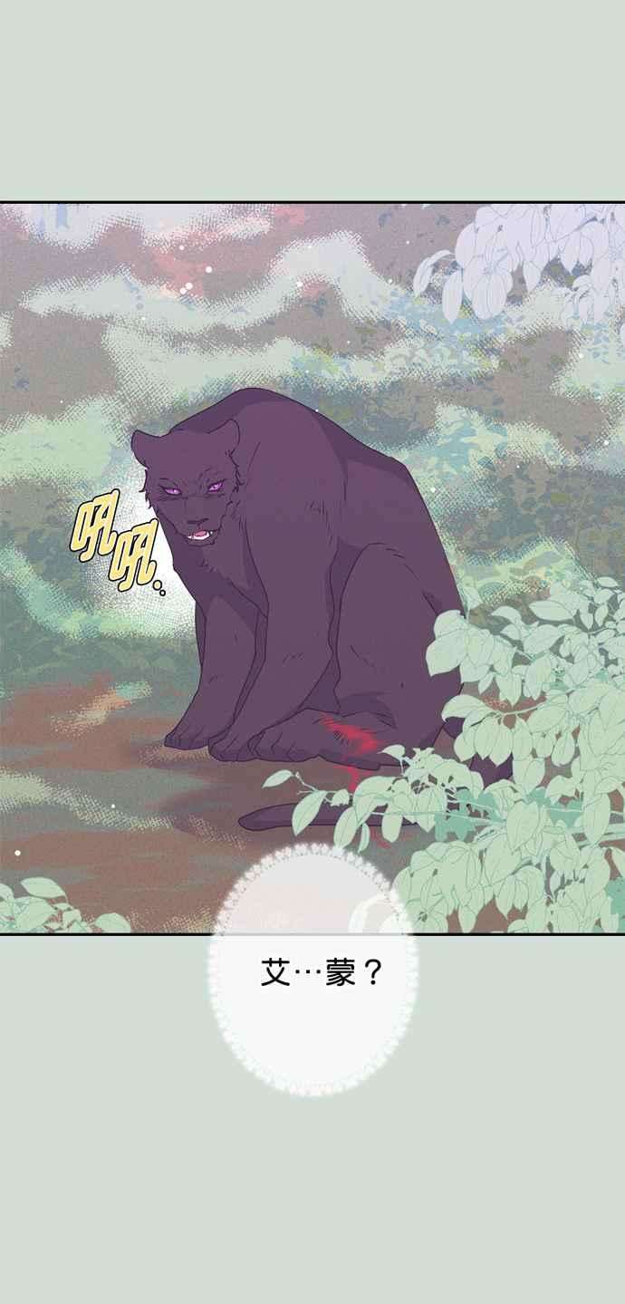 我的野蛮萌友35话