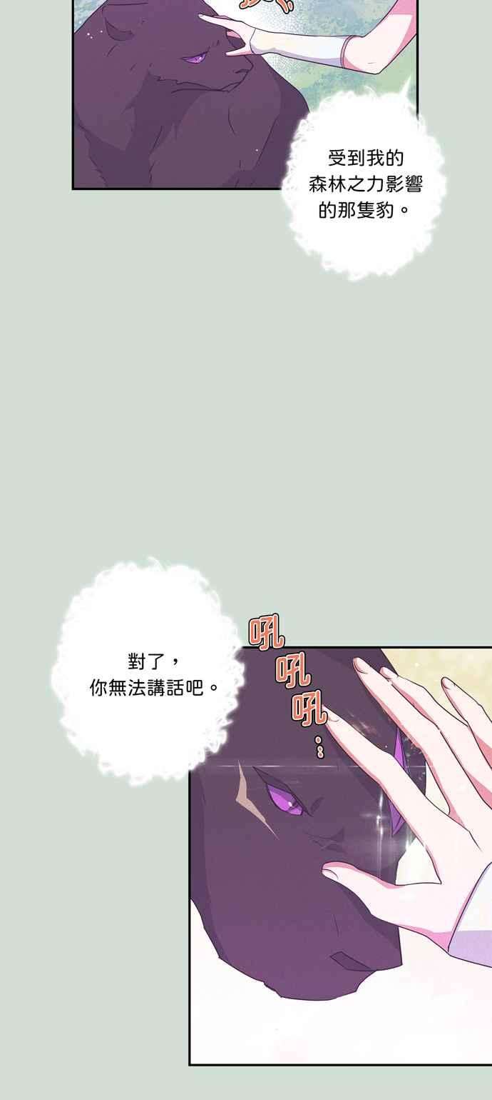 我的野蛮萌友35话