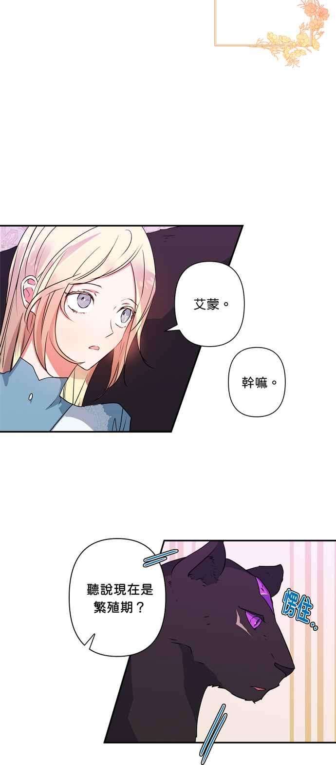 我的野蛮萌友36话