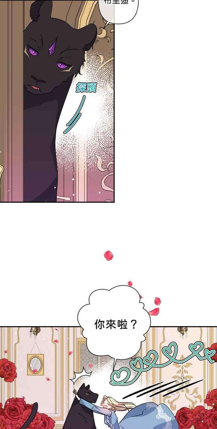 我的野蛮萌友36话