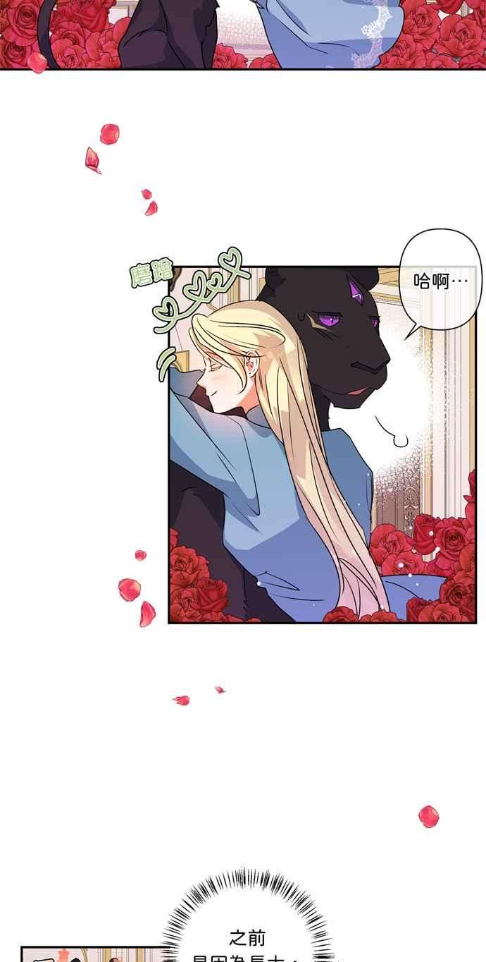 我的野蛮萌友36话