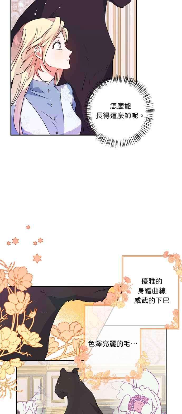 我的野蛮萌友36话